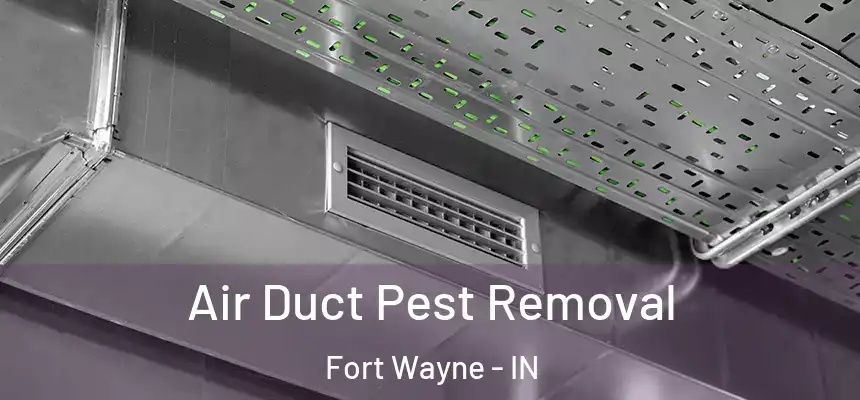 Air Duct Pest Removal Fort Wayne - IN