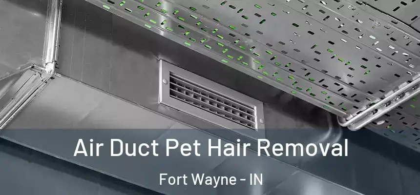 Air Duct Pet Hair Removal Fort Wayne - IN