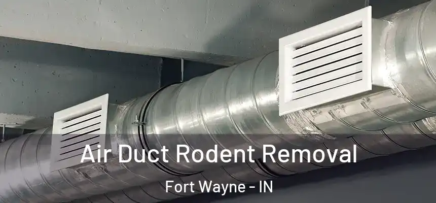 Air Duct Rodent Removal Fort Wayne - IN