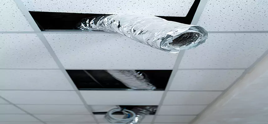 Affordable HVAC Sanitizing After Pest Removal in Fort Wayne