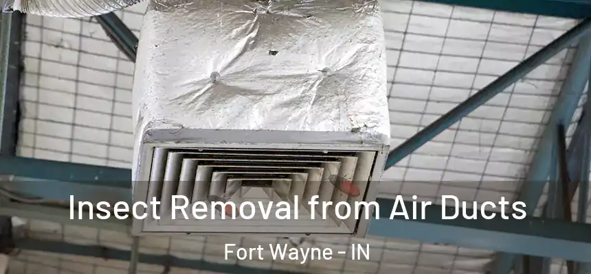 Insect Removal from Air Ducts Fort Wayne - IN