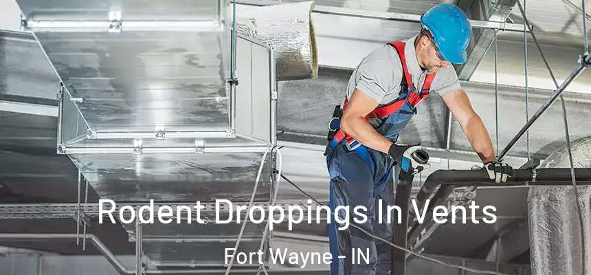 Rodent Droppings In Vents Fort Wayne - IN