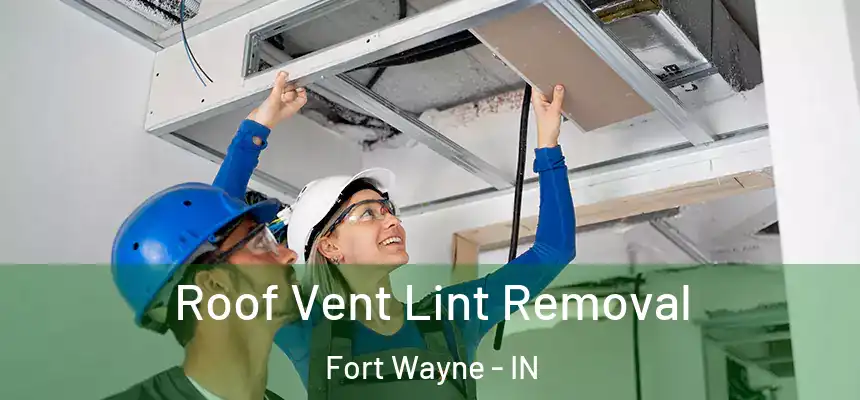 Roof Vent Lint Removal Fort Wayne - IN