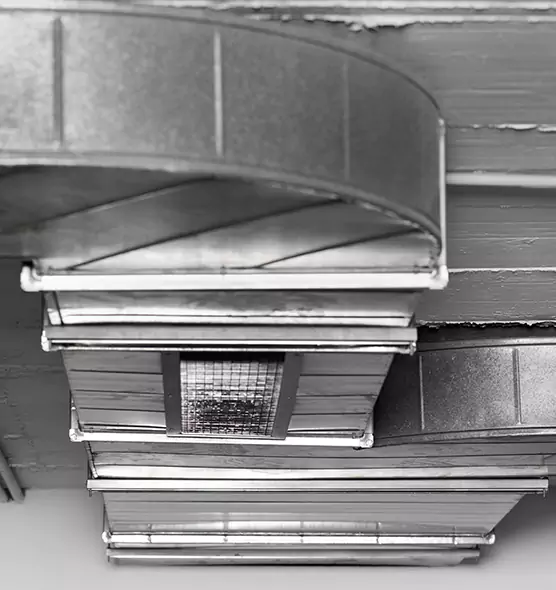 Professional Air Duct Pet Hair Removal in Fort Wayne, IN