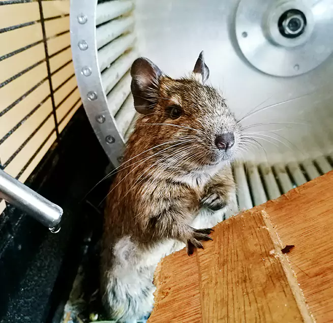 Why Homeowners & Businesses Trust Us Fort Wayne, IN