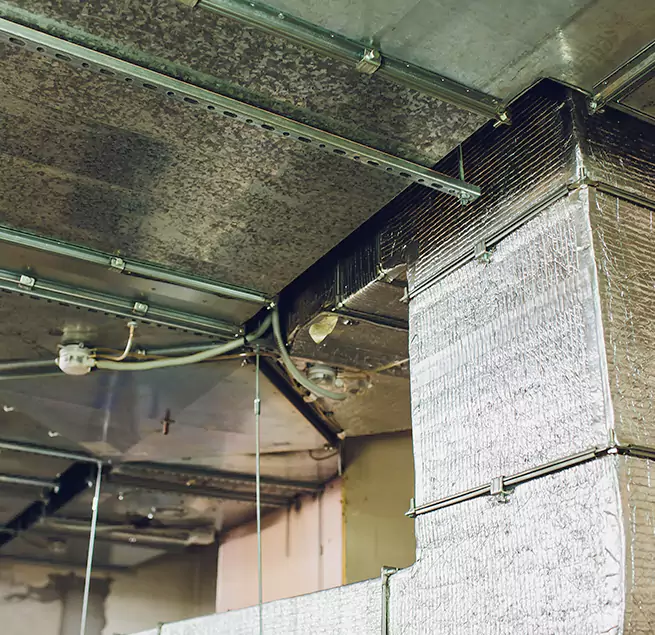 Why Homeowners & Businesses Trust Us in Fort Wayne, IN?